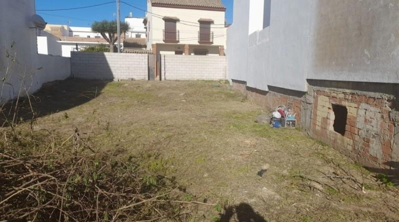 Cádiz - Benalup-Casas Viejas - 426m2
