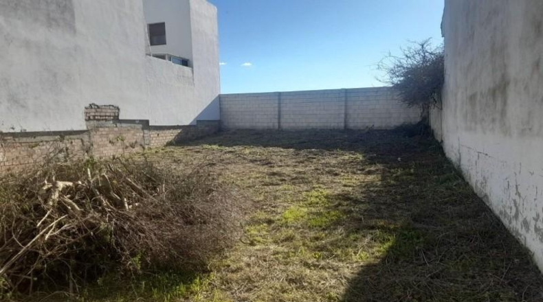 Cádiz - Benalup-Casas Viejas - 426m2