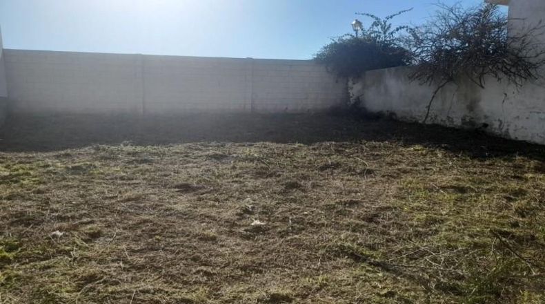 Cádiz - Benalup-Casas Viejas - 426m2