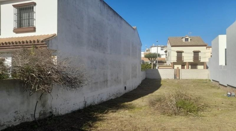 Cádiz - Benalup-Casas Viejas - 426m2