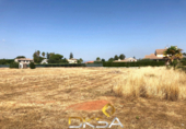 Parcela urbanizable en venta en la España, Vila-real, ref: TR115521 foto