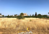 Parcela urbanizable en venta en la España, Vila-real, ref: TR115521 foto
