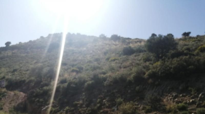 Málaga - Coín - 1017m2