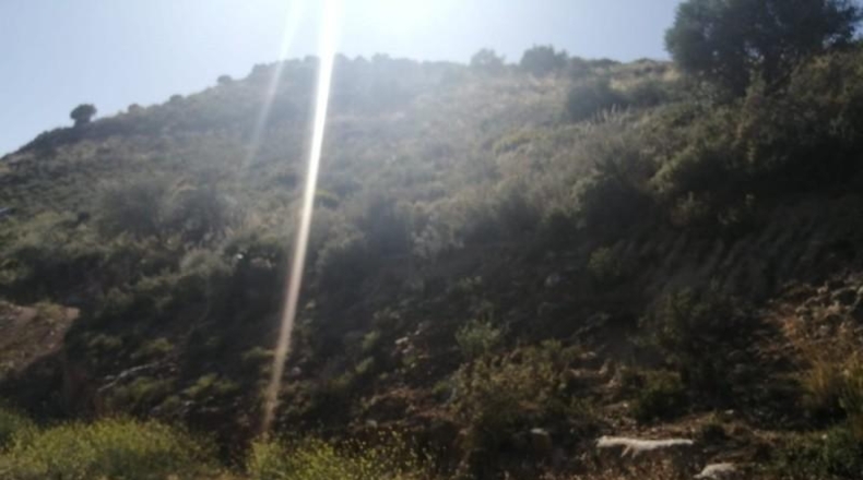 Málaga - Coín - 1017m2
