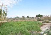 Parcel·la urbanitzable en venda a la España, Catral, ref.: TR116823 foto