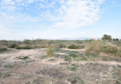 Parcel·la urbanitzable en venda a la España, Catral, ref.: TR116823 foto