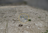 Urban land for sale on España, Albaida, ref: TR112184 photo