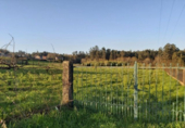 Sòl urbà en venda a la España, Chaves, ref.: TR138755 foto