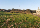 Sòl urbà en venda a la España, Chaves, ref.: TR138755 foto