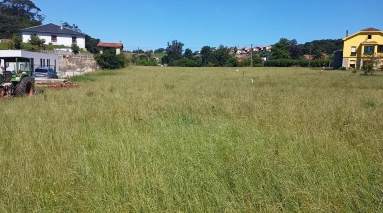 Cantàbria - Santa Cruz de Bezana - 705m2