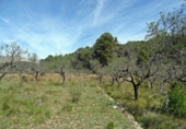 Terreny no urbanitzable en venda a la España, Murla, ref.: TR121790 foto