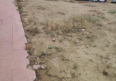 Suelo urbano en venta en la España, Ceutí, ref: TR146728 foto