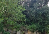 Sòl urbà en venda a la España, Castellar del Vallès, ref.: TR123512 foto