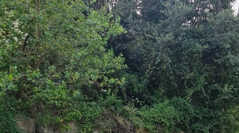 Barcelona - Castellar del Vallès - 1464m2