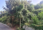 Sòl urbà en venda a la España, Castellar del Vallès, ref.: TR123512 foto