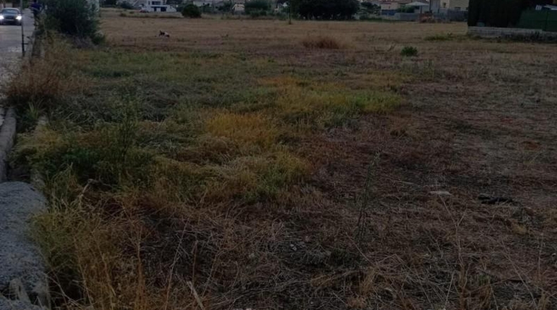 Castellón - Vila-real - 1505m2