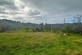 Ribadesella 1250&nbsp;м²