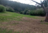 Land suitable for development for sale on España, Cudillero, ref: TR238534 photo