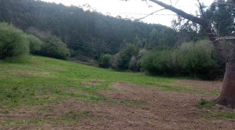 Asturias - Cudillero - 2540m2