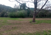 Land suitable for development for sale on España, Cudillero, ref: TR238534 photo