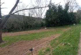 Foto 16