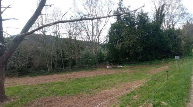 Asturias - Cudillero - 2540m2