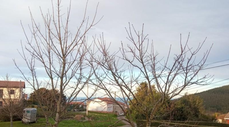 Asturias - Cudillero - 2540m2