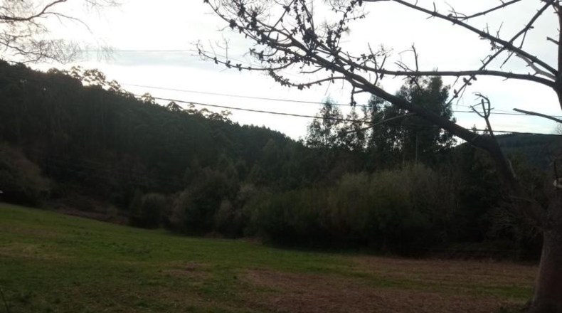 Asturias - Cudillero - 2540m2
