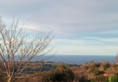 Land suitable for development for sale on España, Cudillero, ref: TR238534 photo