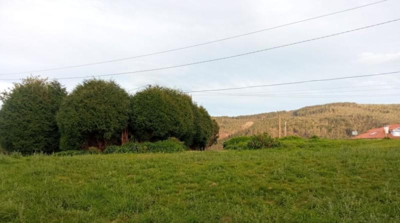 Asturias - Cudillero - 2540m2