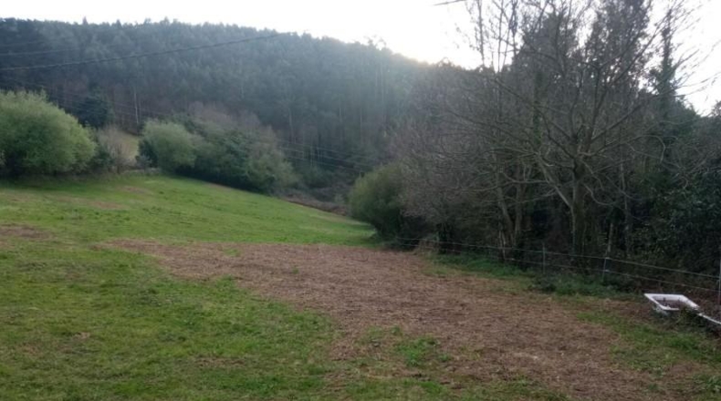 Asturias - Cudillero - 2540m2