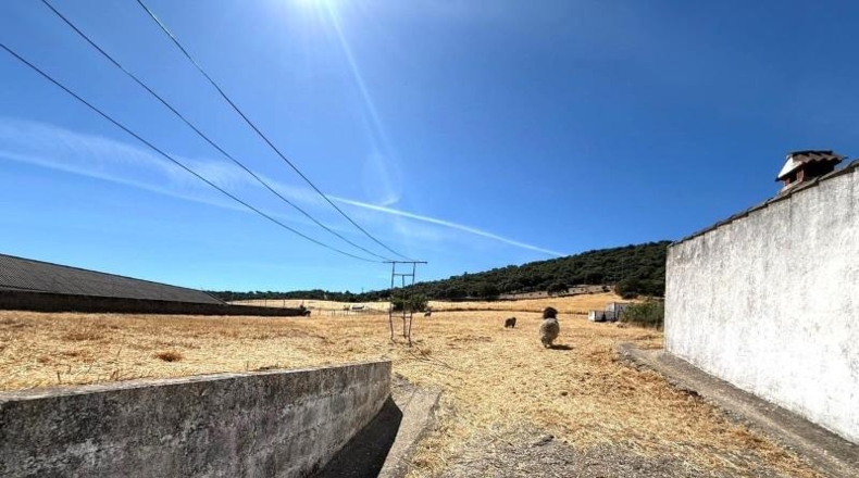 Sevilla - Almadén de la Plata - 8316m2