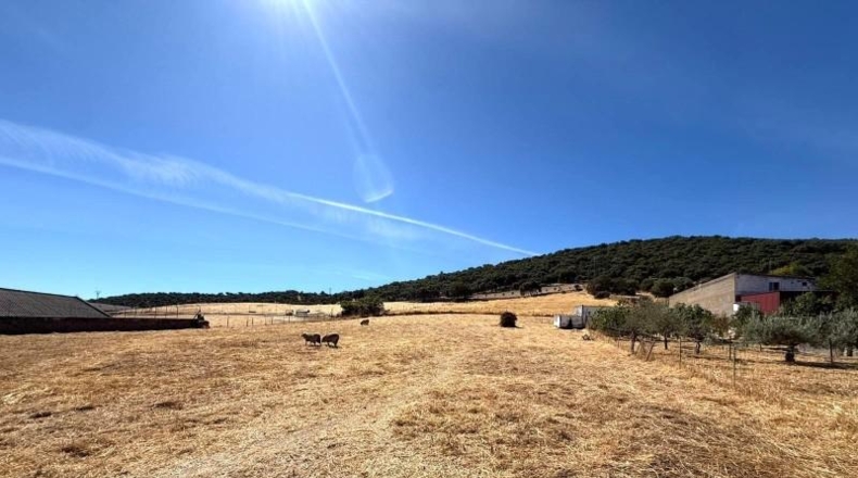 Sevilla - Almadén de la Plata - 8316m2
