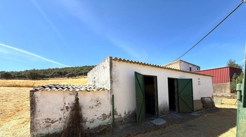 Sevilla - Almadén de la Plata - 8316m2