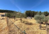 Terreno con Almacén en venta en la España, Almadén de la Plata, ref: TR350645 foto