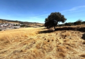 Terreno con Almacén en venta en la España, Almadén de la Plata, ref: TR350645 foto