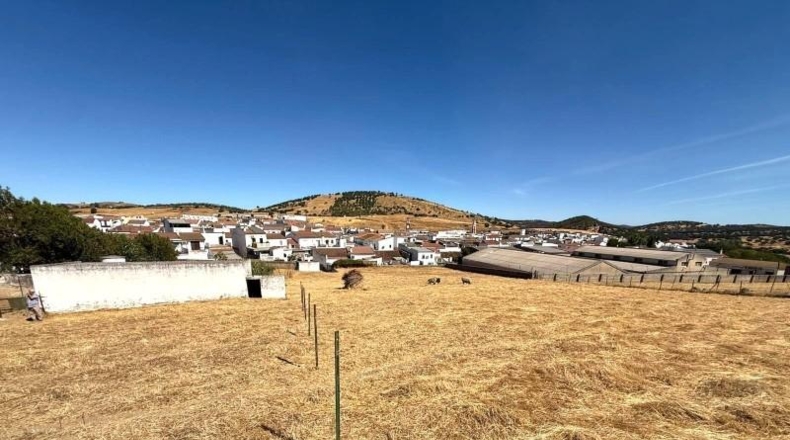 Sevilla - Almadén de la Plata - 8316m2