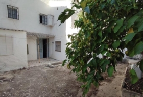 Foto 11