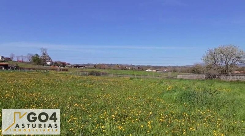Asturias - Lugones - 3900m2