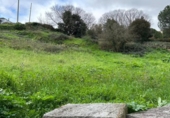 Land suitable for development for sale on España, Ourense, ref: TR219112 photo
