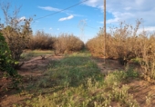 Terreno no urbanizable en venta en la España, el Morell, ref: TR350568 foto