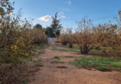 Terreno no urbanizable en venta en la España, el Morell, ref: TR350568 foto