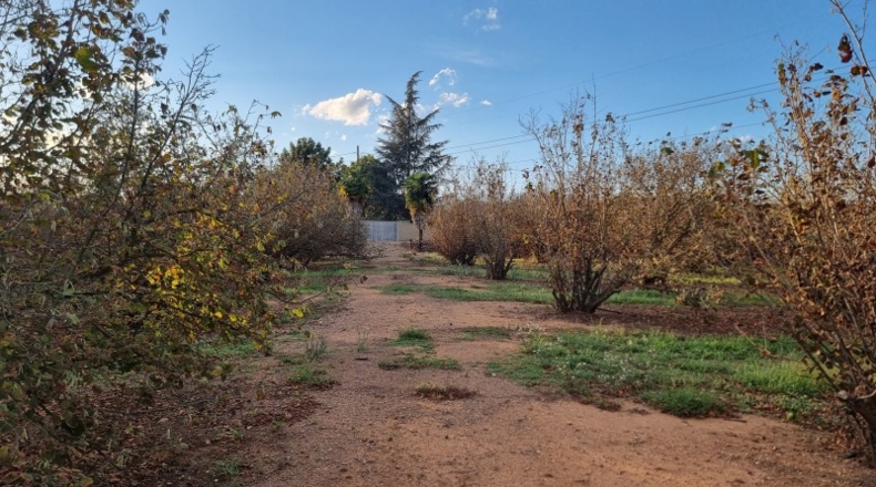 Tarragona - el Morell - 30256m2
