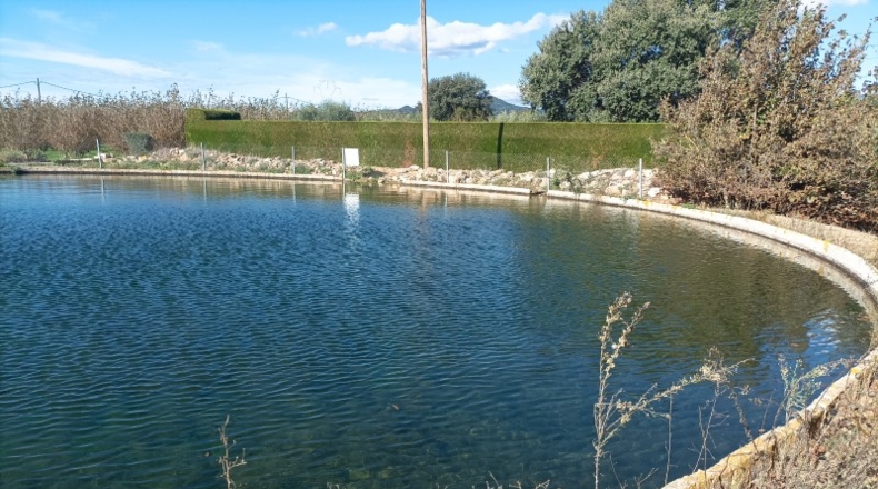 Tarragona - el Morell - 30256m2