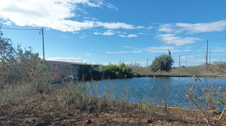 Tarragona - el Morell - 30256m2