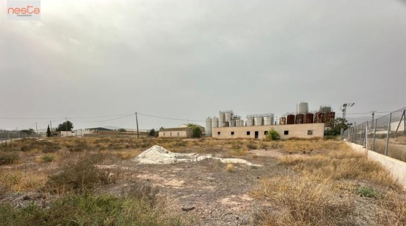 Murcia - Totana - 284m2