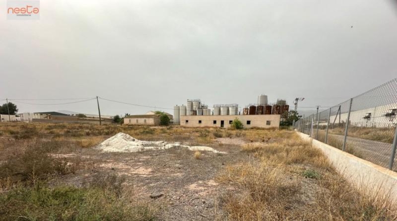 Murcia - Totana - 284m2