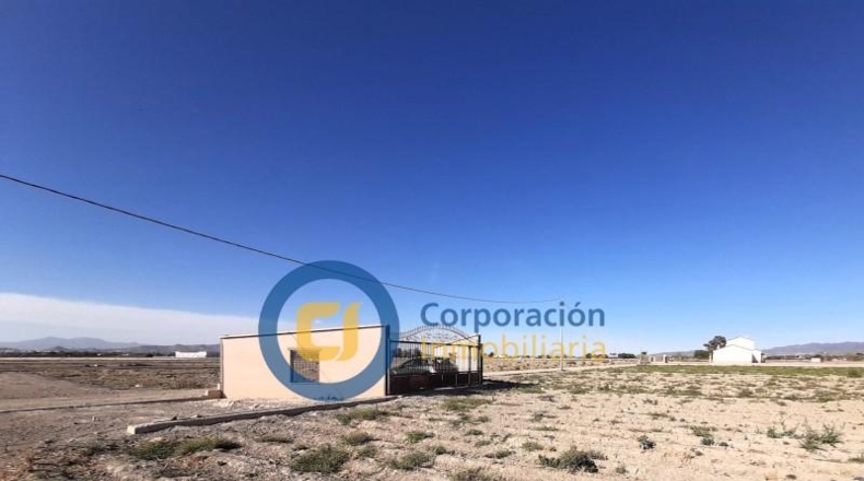 Murcia - Lorca - 5000m2