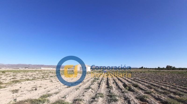 Murcia - Lorca - 5000m2