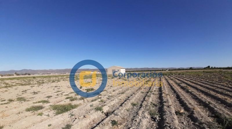 Murcia - Lorca - 5000m2